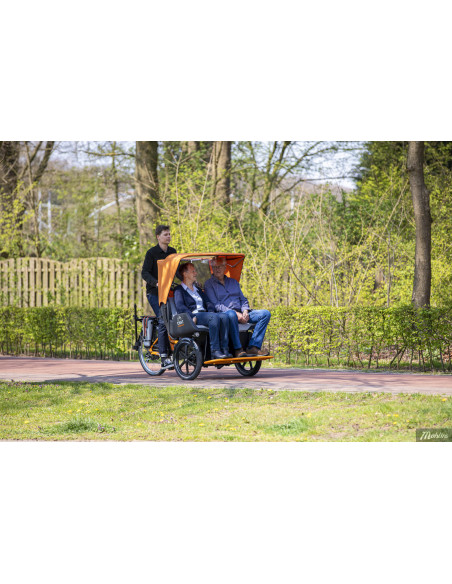 Van Raam Chat rickshaw bicycle