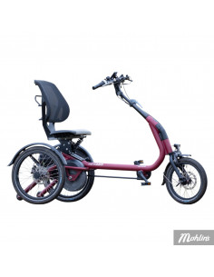 Van Raam Easy Rider Compact tricycle