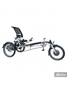 Van Raam Easy Sport recumbent tricycle