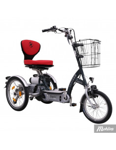 Van Raam Easy Go scooter bicycle
