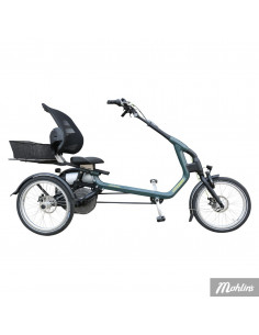 Van Raam Easy Rider tricycle