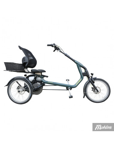 Van Raam Easy Rider tricycle