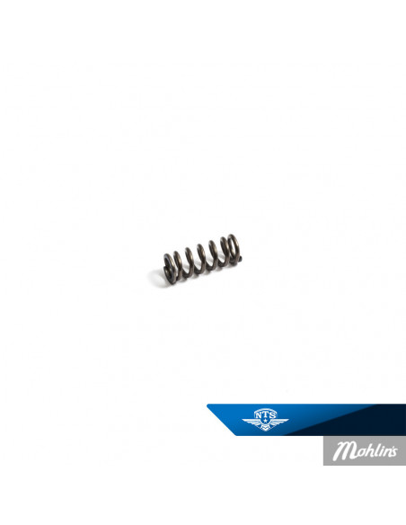 Kopplingsfjäder Made by NTS Sachs