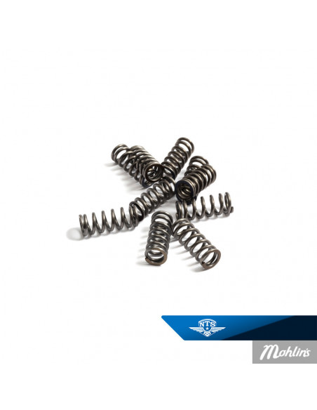 Kopplingsfjäder Made by NTS Sachs