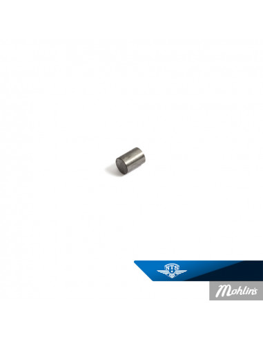 Cylindrisk Rulle Made by NTS 6×4.55 mm Sachs...