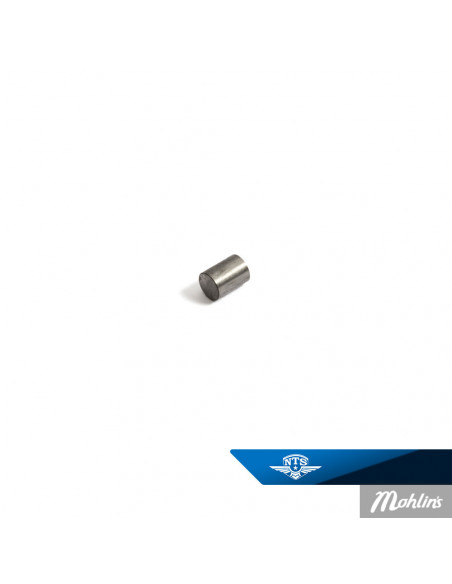 Cylindrisk Rulle Made by NTS 6×4.55 mm Sachs 50/2 50/3 50/4s