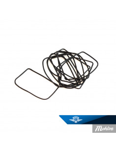 O-ring Filterhus Sachs SSB Made by NTS 2