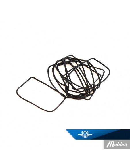 O-ring Filterhus Sachs SSB Made by NTS