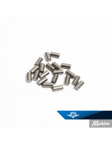 Lagerrulle Sachs 4×8 Made by SKF