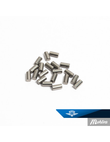 Lagerrulle Sachs 4×8 Made by SKF