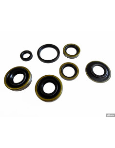 Packbox sats Sachs 3v pedal start