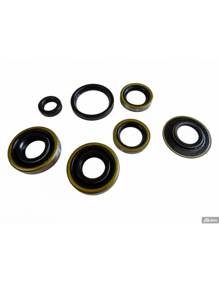 Packbox sats Sachs 3v pedal start