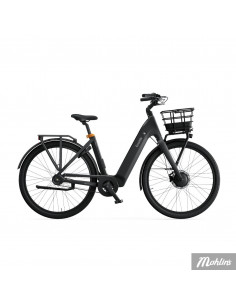 Ecoride Ambassadör Large, Svart, Rem, Fotbroms