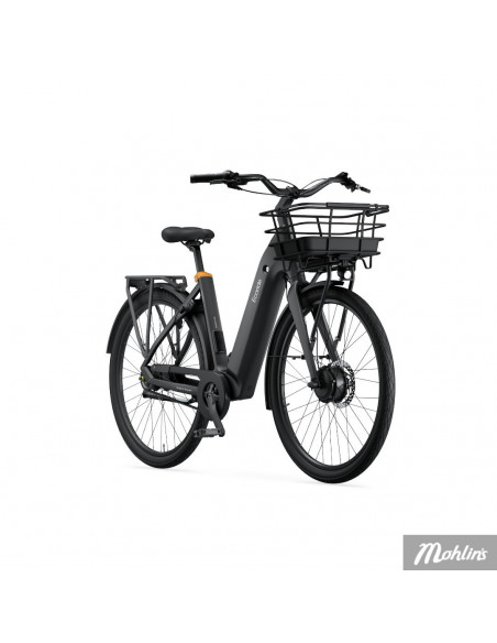 Ecoride Ambassadör Large, Svart, Rem, Fotbroms