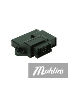 Ecu Minarelli AM6/Rieju/Beta 2018- Trim E4