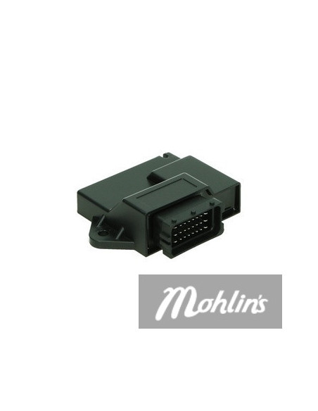 Ecu Minarelli AM6/Rieju/Beta 2018- Trim E4