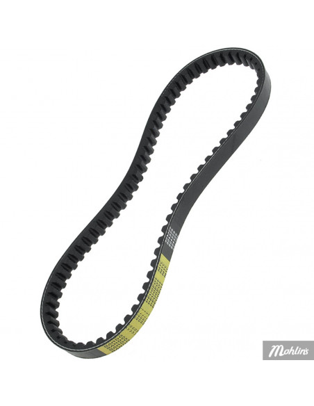 Variatorrem Peugeot 18x8x755 mm