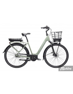 Crescent Elvira 7 vxl 51 cm Grön