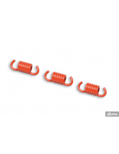 Malossi Kopplingsfjädrar