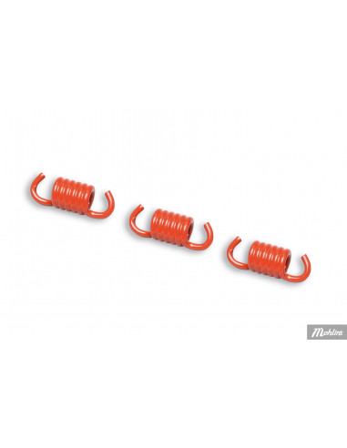 Malossi Kopplingsfjädrar