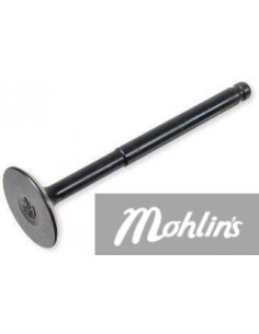 Insugsventil Peugeot Kisbee