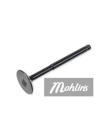 Insugsventil Peugeot Kisbee