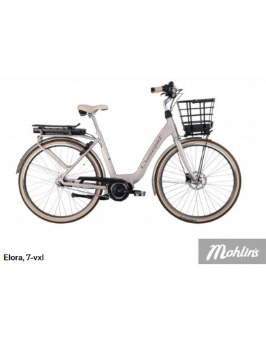 Elcykelservice  24 månader