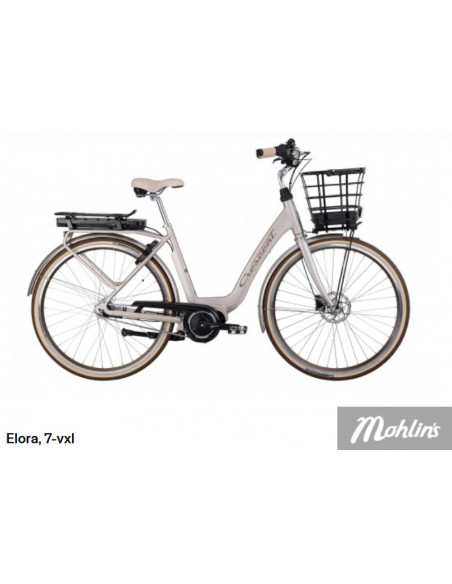 Elcykelservice  24 månader