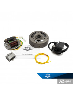 Svänghjulsmagnet Made by NTS 6V-33W Electronic