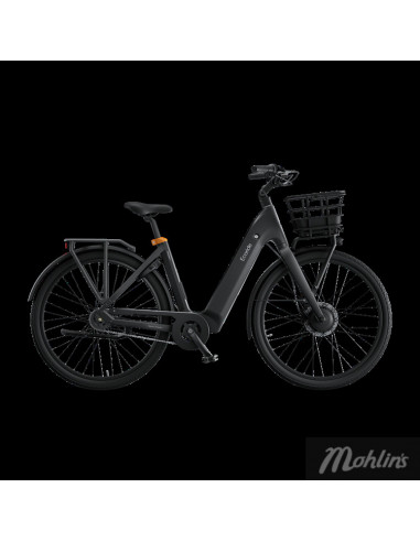 Ecoride Ambassadör Svart Large Rem Fotbroms