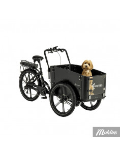 AAA - BLACK WEEK!!! Lådcykel Cargobike Flex Dog Elcykel