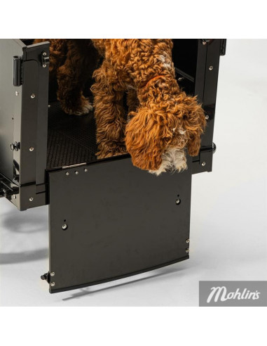 Lådcykel Cargobike Classic Dog Elcykel