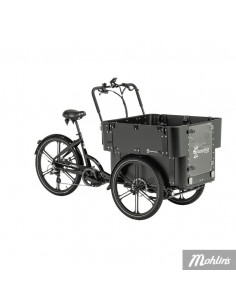 Lådcykel Cargobike Delight Kindergarten Elcykel 2