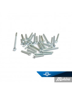 Skruvsats, Motor NTS för Honda MB50/MT50