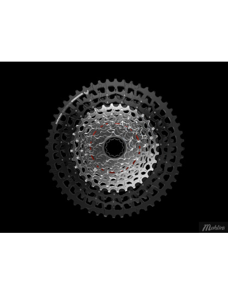 Kassett SRAM XS-1275 T-Type Eagle 12 speed 10-52T