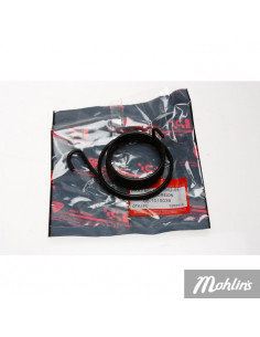 Kickfjäder (LPI) GT1,Classic,Enzo,Forza