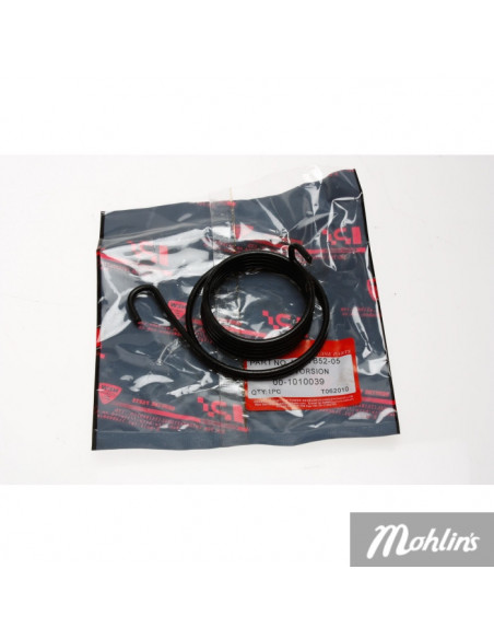 Kickfjäder (LPI) GT1,Classic,Enzo,Forza