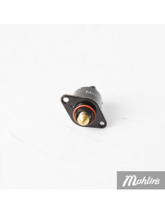 Tomgångsregulator Viarelli