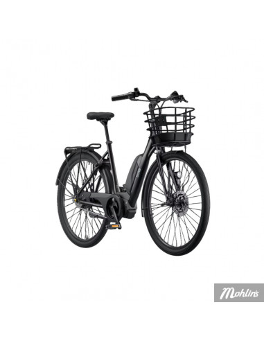 Ecoride Ambassador Gen3 Mittmotor & fotbroms...