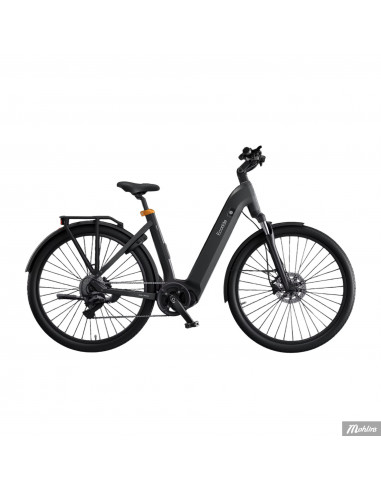 Ecoride Tripper EP6 Cues 9 Low Small