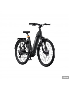 Ecoride Tripper EP6 Cues 9 Low M/L 2