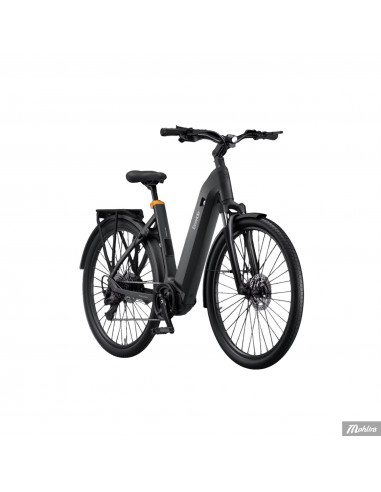 Ecoride Tripper EP6 Cues 9 Low M/L