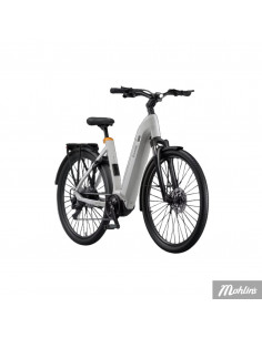 Ecoride Tripper EP6 Cues 9 Low M/L