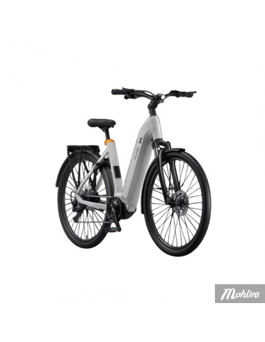 Ecoride Tripper EP6 Cues 9 Low S