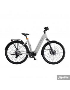 Ecoride Tripper EP6 Cues 9 Low S 2