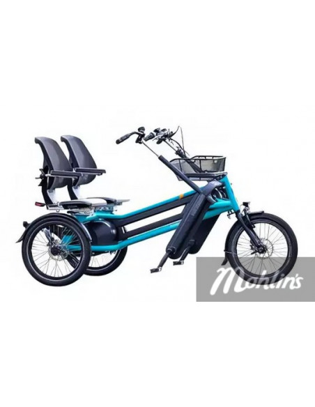 Van Raam Fun2go duo bicycle