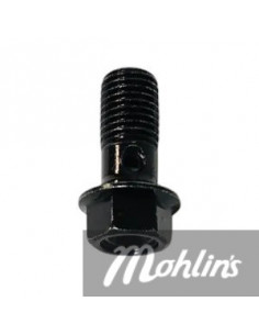 Banjobult M10x1.25x22