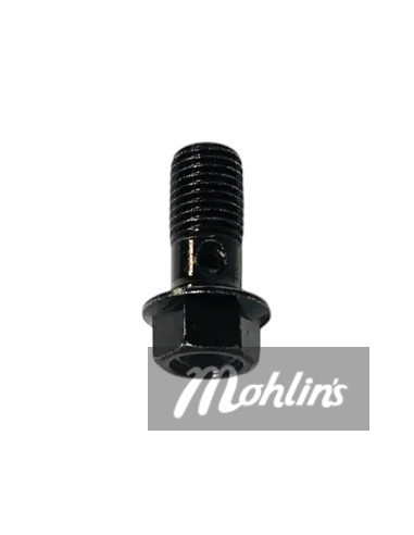 Banjobult M10x1.25x22