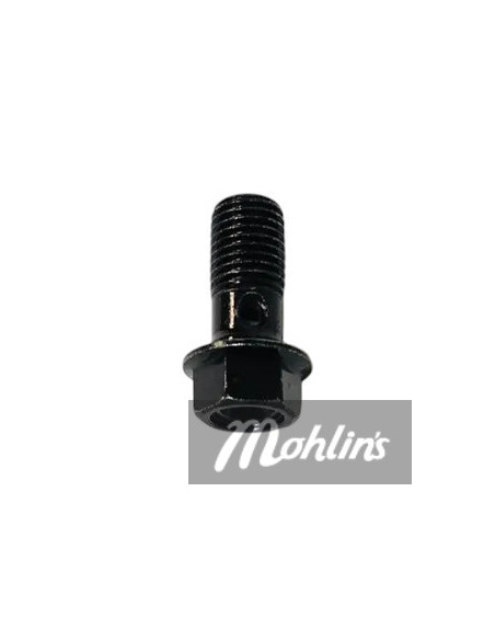 Banjobult M10x1.25x22