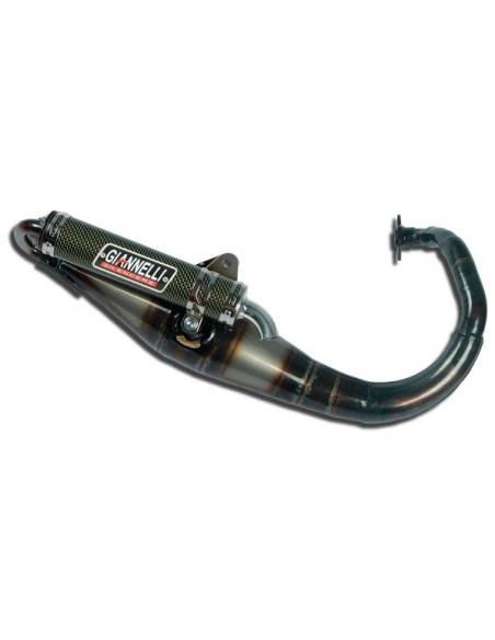 Giannelli Avgassystem Reverse (Oliver/Focus)